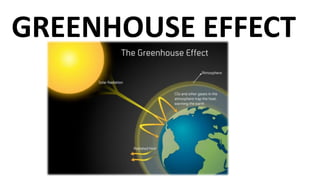 GREENHOUSE EFFECT
 