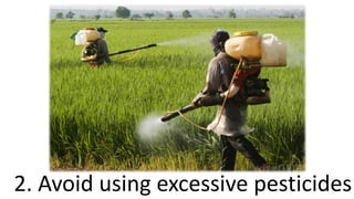 2. Avoid using excessive pesticides
 