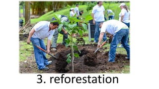 3. reforestation
 