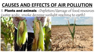 CAUSES AND EFFECTS OF AIR POLLUTION
3. Plants and animals –Depletion/damage of food resources
(water acidic, smoke decrease sunlight reaching to earth)
 