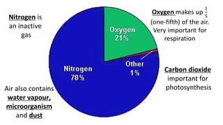 Nitrogen is
an inactive
gas
Carbon dioxide
important for
photosynthesis
Air also contains
water vapour,
microorganism
and dust
 