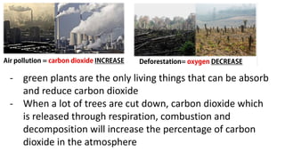 - green plants are the only living things that can be absorb
and reduce carbon dioxide
- When a lot of trees are cut down, carbon dioxide which
is released through respiration, combustion and
decomposition will increase the percentage of carbon
dioxide in the atmosphere
 