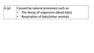 6 (a) Caused by natural processes such as
• The decay of organisms (dead bats)
• Respiration of bats/other animals
 
