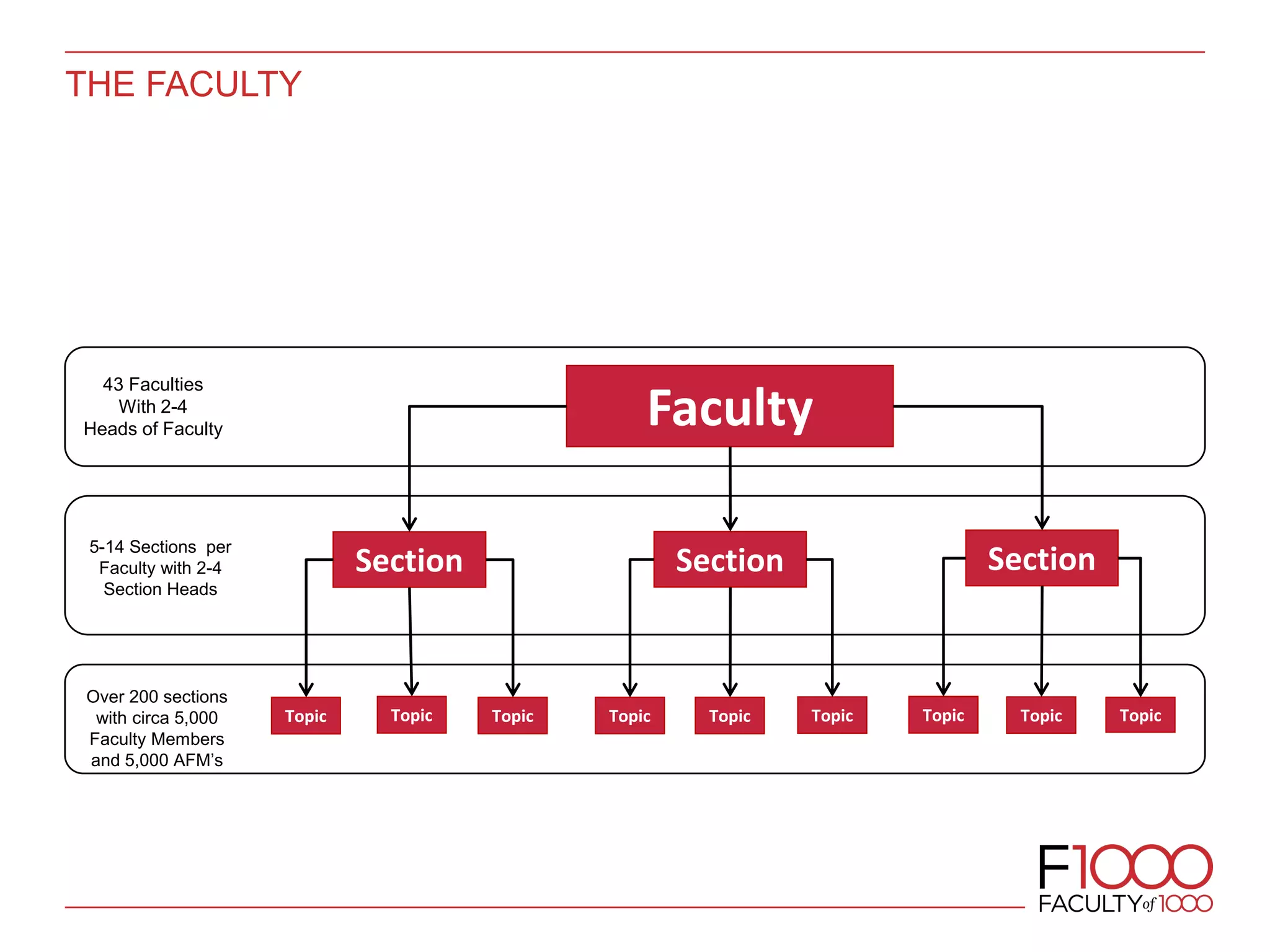 THE FACULTY
Faculty
Section Section Section
Topic Topic Topic TopicTopic Topic TopicTopic Topic
43 Faculties
With 2-4
Heads of Faculty
5-14 Sections per
Faculty with 2-4
Section Heads
Over 200 sections
with circa 5,000
Faculty Members
and 5,000 AFM’s
 