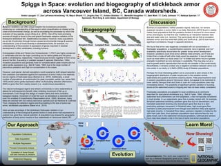 Spiggs in Space: evolution and biogeography of stickleback armor
across Vancouver Island, BC, Canada watersheds.
Anela Layugan ‘17, Zoe LaFrance-Armstrong ‘16, Meyru Bhanti ‘17, Jingzhu Hao ‘17, Kristen Sheldon ‘17, Meredith Houghton ‘17, Sam Most ‘17, Carly Johnson ‘17, Natalya Specian ’17
Sponsors: Rich King & John Baker, Department of Biology
Acknowledgments:	
   This	
   work	
   was	
   supported	
   in	
  
part	
  by	
  a	
  Na4onal	
  Geographic	
  grant	
  to	
  Dr.	
  Susan	
  
Foster.	
  We	
  also	
  wish	
  to	
  thank	
  the	
  BC	
  ﬁeld	
  crew.	
  
Background
Our Approach
Adaptive radiations can offer unique insights into evolutionary processes,
enhancing our understanding of the ways in which diversification is initiated at the
onset of environmental change, as well as elucidating the processes by which the
evolution of new species occurs (King et al., 2016). One of the most promising
sources of insight is found in the post-glacial freshwater adaptive radiation of the
threespine stickleback fish, Gasterosteus aculeatus. However, many populations
are at risk of extinction through human-caused environmental change & species
introductions. Loss of novel diversity in sticklebacks limits, for example, our
understanding of the evolution & expression of genes important in skeletal
development in other vertebrates, including humans.
Ectodysplasin (Eda) and Paired-Like Homeodomain 1 (PitX1) are highly conserved
in vertebrates and are the major controlling loci for lateral plates and the pelvic
girdle in sticklebacks, respectively. These structures function together to form a box
around the fish, thus aiding in predator escape if captured (Reimchen, 1994).
Ancestral populations are generally fixed for complete lateral plate morphs and full
pelvic girdle expression (e.g., Bell & Foster, 1994) due to the large number of
piscivorous predators and high ion concentration in the ocean.
However, post-glacial, derived populations could experience both relaxed selection
from predators and selection against full expression of armor traits in the relatively
low-ion regime of freshwater lakes (Barrett et al., 2010). Additionally, a small
number of populations are polymorphic for plate (complete, partial, low; sensu Bell,
1976) and/or pelvic girdle expression either via fluctuating selection (Reimchen,
2000) or gene flow from nearby oceanic (i.e., anadromous) populations.
The natural hydrological regime and stream connectivity in many watersheds is
altered for anthropocentric benefit, often inhibiting movement of fish up or
downstream. Even though the design of modern dams and weirs considers
biological impacts, movement of small fish such as stickleback is restricted with
even the smallest of impediments (Raeymaekers et al., 2008). Moreover, many
lakes are stocked with non-native piscivorous species such as Rainbow & Cutthroat
Trout, changing the selection regime and thus leading to the loss of some low-
armor, stickleback populations (Baker et al., 2010).
Here we take advantage of the stickleback freshwater radiation & our
understanding of the ecological & genetic factors in body armor trait expression to
explore how gene flow, natural selection, & population loss shapes the geographic
distribution of body armor morphs in four watersheds on Vancouver Island, BC.
Discussion
Biogeography
Evolution
Learn More!
Data Acquisition
Principal Components Analysis
Correlation of ‘Armor Scores’
with lake chemistry & predators
Multiple Regression
Watershed Mapping
Population Collections
Nimpkish	
  River	
   Cowichan	
  River	
  
Comox	
  Valley	
  Campbell	
  River	
  
+/+	
  
+/-­‐	
  
-­‐/-­‐	
  
Gene	
  	
  
Flow	
  
Dis4nct,	
   but	
   very	
   closely-­‐linked	
   loci	
   regulate	
  
diﬀerent	
   aspects	
   of	
   bony	
   armor	
   plates	
   in	
  
s4cklebacks.	
  Armor	
  plate	
  height	
  and	
  width	
  were	
  
separately	
   ﬁne-­‐mapped	
   using	
   thousands	
   of	
   F2	
  
ﬁsh	
  from	
  a	
  gene4c	
  cross	
  between	
  a	
  large-­‐plated	
  
marine	
   s4ckleback	
   and	
   an	
   armor-­‐reduced	
  
freshwater	
   s4ckleback.	
   The	
   two	
   QTL	
   intervals	
  
(red	
   and	
   green	
   bars)	
   barely	
   overlap.	
   (from	
  
Indjeian	
  et	
  al.,	
  2016)	
  
Body	
   shape	
   is	
   a	
   set	
   of	
   correlated	
   gene4c	
   and	
  
environmentally	
  plas4c	
  traits.	
  Lake	
  depth,	
  habitat	
  
complexity	
   (i.e.,	
   vegeta4on),	
   food	
   sources	
   (i.e.,	
  
plankton	
   vs	
   benthos),	
   and	
   salinity	
   have	
   been	
  
linked	
  to	
  overall	
  body	
  shape	
  changes	
  resul4ng	
  in	
  
the	
   limne4c-­‐benthic	
   con4nuum	
   ubiquitous	
   in	
  
s4ckleback	
   shape	
   studies	
   (e.g.,	
   Bell	
   &	
   Foster,	
  
1994).	
   Our	
   data	
   suggests	
   that	
   maximum	
   body	
  
depth	
  and	
  ventral	
  body	
  width	
  may	
  also	
  be	
  linked	
  
to	
  selecDon	
  on	
  skeletal	
  armor	
  features.	
  
Lateral	
   plate	
   phenotype	
   is	
   largely	
  
controlled	
  by	
  EDAC	
  and	
  EDAL	
  alleles	
  with	
  a	
  
number	
   of	
   puta4ve	
   and	
   unknown	
  
enhancer	
  loci	
  (	
  e.g.,	
  see	
  ChrXX	
  to	
  the	
  leY).	
  
Here	
  we	
  assume	
  par4al	
  dominance	
  of	
  the	
  
EDAC	
   allele	
   for	
   lateral	
   plate	
   morph	
   (i.e.,	
  
complete,	
  par4al,	
  low)	
  expression.	
  	
  	
  
Contrary to expectations, neither predator regime, lake size, nor tannins
explained variation in armor traits in our data. Reimchen (2013) found in nearby
Haida Gwaii populations that fish predators tended to account for more robust
armor phenotypes, but that this was modified by an interaction between lake
size and water color (i.e., tannins). This same study did not find a correlation
between armor and ions while Bell (2000) and Smith et al., (2014) both found
significant correlations, though in opposite directions.
We found that armor was negatively correlated with ion concentration in
freshwater populations, a counterintuitive outcome. Ions in general, and Ca++
availability specifically should allow for greater boney armor development.
However, predators could drive armor defense traits primarily, and if ions are
limited then a trade-off with other traits would be expected. In low pH lakes
(such as most within our study area) Ca++ is limited and armor incurs a greater
energetic investment as ions decrease in availability. This may play out as a
cost to growth and/or reproduction that we did not consider in the current study.
Nevertheless, it remains unclear why a negative correlation between armor and
ions exists in our study or in Bell’s (2000) study of Alaskan populations.
Perhaps the most interesting pattern we’ve uncovered is seen simply in the
biogeographic distribution of plate morphs and in the variation across
watersheds and putative ancestral (oceanic) stocks. Plate polymorphisms exist
in oceanic populations around Vancouver Island, but appear to be restricted to
lower salinity Georgia Strait and Strait of Juan de Fuca populations (see map
immediately below). The possibility of significant genetic variation in founding
stocks at the watershed scale is intriguing and has not been widely considered.
Freshwater populations are adapted to local conditions as is commonly
described for post-glacial stickleback (e.g., Bell & Foster, 1994). Although,
watershed-level phenomena can limit adaptation, a fact not typically considered
in most studies. In our watersheds, gene flow is widely variant with, for example,
Nimpkish watershed exhibiting upstream gene flow but not downstream, and
Campbell watershed showing only downstream gene flow due to a dam
precluding upstream movement. In Nimpkish lakes, high levels gene flow
maintains a plate polymorphism even though local selection likely acts against
high plate morphs. In Campbell River lakes, upstream migration is halted by the
John Hart Lake Dam, thus upstream populations have become fixed for low
plate morph, but in this watershed introduced predators, cutthroat and rainbow
trout, may have played a role in the loss of some low-armor populations.
Projected	
  Coordinate	
  System:	
  NAD83	
  Environment	
  BC	
  Albers.	
  Data	
  Sources:	
  Bri4sh	
  Columbia	
  Ministry	
  of	
  Energy,	
  Mines	
  and	
  Petroleum	
  Resources;	
  Bri4sh	
  Columbia	
  Ministry	
  of	
  
Environment;	
  GeoGra4s.	
  Contains	
  informa4on	
  licensed	
  under	
  the	
  Open	
  Government	
  License	
  –	
  Canada.	
  Maps	
  created	
  by	
  A.	
  Layugan.	
  Scale	
  bars	
  for	
  each	
  watershed	
  ~25km.	
  
!(
!(
!( !(
!(
!(
!(
!(
!(
!(
!(
!(
!(
!(
*	
  
*	
  
*	
  
!(
!(
!(
!(
!(
!(
!(
!(
!(
Three-­‐dimensional	
  plots	
  showing	
  PC1-­‐PC1,	
  Armor	
  Box,	
  Body	
  Shape,	
  and	
  Lateral	
  Plates	
  respec4vely	
  by	
  watershed.	
  Red	
  are	
  for	
  the	
  oceanic	
  popula4ons	
  and	
  blue	
  is	
  the	
  freshwater	
  
popula4ons.	
  All	
  axes	
  are	
  ploged	
  on	
  the	
  same	
  scale	
  but	
  separately	
  by	
  watershed	
  for	
  clarity.	
  Note	
  that	
  the	
  oceanic	
  types	
  reside	
  in	
  diﬀerent	
  3D	
  ‘Armor	
  Space’,	
  an	
  important	
  point	
  for	
  
inferring	
  direc4on	
  of	
  evolu4onary	
  change	
  in	
  this	
  system.	
  
Nimpkish	
  River	
   Cowichan	
  River	
   Comox	
  Valley	
  Campbell	
  River	
  
 