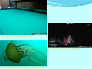 https://www.youtube.com/watch?v=ImHYwrCIydA 
http://giphy.com/gifs/woahdude-jellyfish-giant-Dj0SsvxJVYyQg 
https://www.youtube.com/watch?v=_NeCvBCZbC8 
 