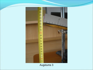 Augstums 3 
 