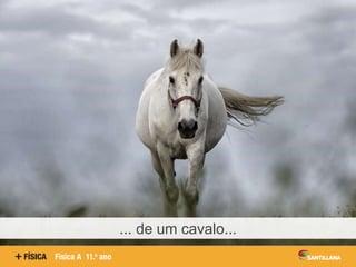 ... de um cavalo...
 