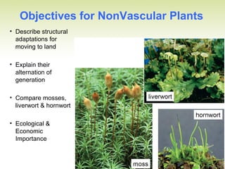 Objectives for NonVascular Plants
• Describe structural
adaptations for
moving to land
• Explain their
alternation of
generation
• Compare mosses,
liverwort & hornwort
• Ecological &
Economic
Importance
 