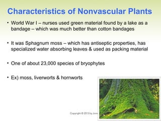 Characteristics of Nonvascular Plants
• World War I – nurses used green material found by a lake as a
bandage – which was much better than cotton bandages
• It was Sphagnum moss – which has antiseptic properties, has
specialized water absorbing leaves & used as packing material
• One of about 23,000 species of bryophytes
• Ex) moss, liverworts & hornworts
 