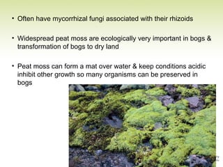 • Often have mycorrhizal fungi associated with their rhizoids
• Widespread peat moss are ecologically very important in bogs &
transformation of bogs to dry land
• Peat moss can form a mat over water & keep conditions acidic
inhibit other growth so many organisms can be preserved in
bogs
 