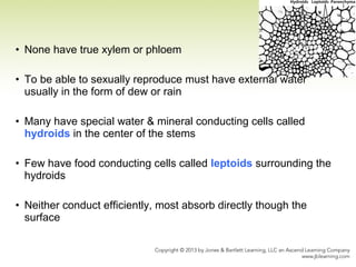 • None have true xylem or phloem
• To be able to sexually reproduce must have external water
usually in the form of dew or rain
• Many have special water & mineral conducting cells called
hydroids in the center of the stems
• Few have food conducting cells called leptoids surrounding the
hydroids
• Neither conduct efficiently, most absorb directly though the
surface
 