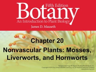 Chapter 20
Nonvascular Plants: Mosses,
Liverworts, and Hornworts
 