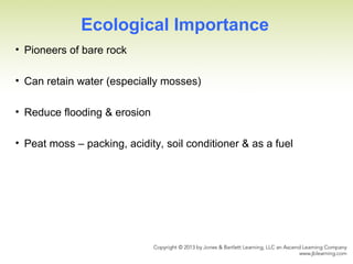 Ecological Importance
• Pioneers of bare rock
• Can retain water (especially mosses)
• Reduce flooding & erosion
• Peat moss – packing, acidity, soil conditioner & as a fuel
 