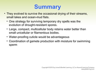 Summary
• They evolved to survive the occasional drying of their streams,
small lakes and ocean-mud flats.
• One strategy for surviving temporary dry spells was the
evolution of drought-resistant spores.
• Large, compact, multicellular body retains water better than
small unicellular or filamentous bodies.
• Water-proofing cuticle would be advantageous
• Coordination of gamete production with moisture for swimming
sperm
 