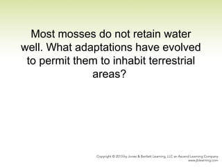 Most mosses do not retain water
well. What adaptations have evolved
to permit them to inhabit terrestrial
areas?
 