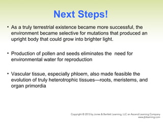 Next Steps!
• As a truly terrestrial existence became more successful, the
environment became selective for mutations that produced an
upright body that could grow into brighter light.
• Production of pollen and seeds eliminates the need for
environmental water for reproduction
• Vascular tissue, especially phloem, also made feasible the
evolution of truly heterotrophic tissues—roots, meristems, and
organ primordia
 