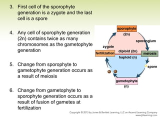 3. First cell of the sporophyte
generation is a zygote and the last
cell is a spore
4. Any cell of sporophyte generation
(2n) contains twice as many
chromosomes as the gametophyte
generation
5. Change from sporophyte to
gametophyte generation occurs as
a result of meiosis
6. Change from gametophyte to
sporophyte generation occurs as a
result of fusion of gametes at
fertilization
 