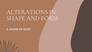 ALTERATIONS IN
SHAPE AND FORM
A. SHAPE OF ROOT
 