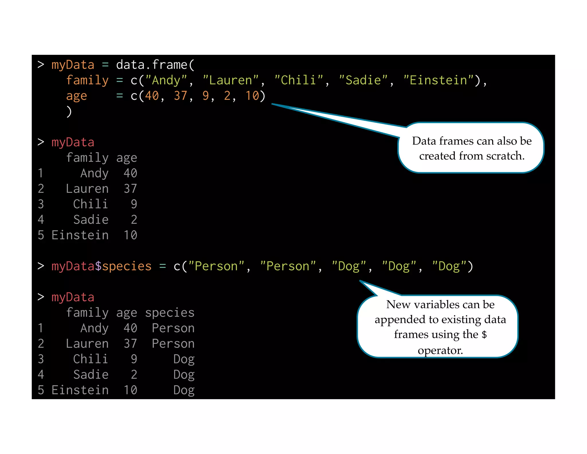 > myData = data.frame(
family = c("Andy", "Lauren", "Chili", "Sadie", "Einstein"),
age = c(40, 37, 9, 2, 10)
)
!
> myData
family age
1 Andy 40
2 Lauren 37
3 Chili 9
4 Sadie 2
5 Einstein 10
!
> myData$species = c("Person", "Person", "Dog", "Dog", "Dog")
!
> myData
family age species
1 Andy 40 Person
2 Lauren 37 Person
3 Chili 9 Dog
4 Sadie 2 Dog
5 Einstein 10 Dog
Data frames can also be
created from scratch.
New variables can be
appended to existing data
frames using the $
operator.
 