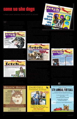 When we started FETCH more than 4 years
ago, we had a lot of energy and great ideas.
We also didn’t know how much the paper, and we,
would evolve.
Our first issue featured artists whose canine-
centered works were manifestations of their
advocacy and respect for animals. We then blithely
covered the joys of visiting dog friendly wineries.
The next thing we knew, Hurricane Katrina
hit the Gulf, and we found ourselves covering
Operation: Orphans of the Storm, where hundreds
of frightened and ill four-legged refugees found
their way to Bay Area shelters and rescue groups,
who nursed them back and relieved their panic
so they could join new families here, or wait to be
reunited with their old families.
Not six months later, the pet food recall that
killed thousands of pets in the US took its toll on
the Bay Area as well. We called
on local experts who provided
us with informative articles on
raw and home cooked diets. We
started cooking food for our own
dogs here.
Speaking of our own dogs, one month while
scanning the web site for Grateful Dogs Rescue we
saw Wylie, a senior dog with some issues who was
looking for a home after a whole year in rescue.
He’s still with us four years later, still as grumpy and
aloof as ever.
FETCH has been a lot about what we learned
and saw during our four year journey. We saw the
amazing passion of animal advocates who fight
against breed prejudice and dog chaining. We
heard from both sides of the contentious battle
to maintain the Golden Gate National Recreation
Area as a place friendly and open to dogs. We
watched the shelter battles in Sonoma County and
with the San Francisco SPCA heat up, die down,
and heat up again.
Our “Making a Difference” feature never ran
out of subjects to cover. Making a Difference
highlighted the local, often unsung heroes who read
to dogs, spay and neuter strays, train shelter dogs
to make them adoptable, transport rescues, provide
free medical care, and devote their hearts and
hands to making this cruel world a little safer for
companion animals. We have more than 40 of these
stories online at www.fetchthepaper.com/archives.
The Bay Area is truly wealthy with people who care
about animals.
We’ve had a lot of fun, too. Exploring dog friendly
eateries, parks and beaches to fill our pages and
web site with places where our canines can “take it
all off”—meaning their leashes of course.
We covered doggie DNA testing in “DNA Identity
Crisis” and lost and found dogs like Bernie Tucker.
We sponsored a contest to find an ambassador for
pit bulls, and Monte, a Katrina rescue, took top
honors. We brought readers into our kitchens,
where we make treats and “Bennie Burgers” that
help promote health and vitality.
Our happiest moments include meeting fans and
readers at the dozens of dog events we attended
each year. From the Golden Gate Kennel Club each
January, through Bay to Barkers, Howl-o-Ween
and Dog Days everywhere, we loved meeting you
and your dogs. We invited you to come celebrate
companion animals at the Bay Area Pet Fair, and
you did—by the thousands. And adopted them,
too—almost 750 dogs and cats found homes at the
Fair.
Although we will no longer be in print, we hope
you will follow us on our next evolution and stay
in touch with us online at www.fetchthepaper.com,
or on Facebook and Twitter. We have some great
things planned.
Gone to the dogs
TheBayArea’sfirstdog&cathealthfoodstore
ownedandoperatedbyhomeopath,HeidiHill.
1510 Walnut St., Berkeley
510-843-2133
info@holistichound.com
www.holistichound.com
LEADINGTHE PACK
▪ Raw,organic&human-gradefoods
▪	 Nutritionalsupplementsandherbs
▪	 Organictreatsandchews
▪	 Homeopathy
▪	 Floweressences
▪	 Pesticide-freefleacare
▪	 Eco-friendlytoys&beds
PLUS Special Focus:
Hope & Healing
Making a Difference 8
Meet Donyale Hoye,
steadfast friend to pit bulls.
Hope Springs Eternal 16
End of life is a bittersweet
time for you and your pet.
Columns
Scoop 4
Just what your newshound has been craving!
Well-Heeled Dog by Trish King 12
If you’re adopting an adolescent dog, you’ll
need Trish’s solid advice.
Health Matters by Christopher Forsythe DVM 19
Disk disease: how to recognize and treat this
debilitating condition.
Departments
Howl! 3
What’s Happening? 14
Mention FETCH Index 12
Pet Services Directory 19
Bulletin Board 22
Adoptable Pets 22
Bay Area
Calendar of Events
page 14
Making a Difference
Meet Donyale Hoye,
steadfast friend to pit bulls.
SNAPS! Great
Dog Pix
page 4
Vol 3 No 3 March 2007
Pick
Me!
Page 22
Hope Springs Eternal
End of life is a bittersweet
time for you and your pet.
iSTOCK
Advocates and
Adversaries
Continue the Fight
Editor’s Note: Last January we covered
this issue on the cover of FETCH, and
now, 14 months later, all sides (for there
are more than two) are still waging a
battle for the future of off-leash recreation
in the Golden Gate National Recreation
Area. San Francisco correspondent
Kris Larson offers this update.
Off-Leash
Tug of War
T
he past few years, Ocean Beach and Fort Funston have been the rope
in a giant game of tug of war between environmentalists and dog
owners. Environmentalists claim that off-leash dogs in these parks are
threatening the habitat of the snowy plover, a small, wren-like bird that nests
in both areas. Dog owners claim that the city’s dogs need these large spaces
for off-leash play. Park officials recently closed both parks to
off-leash dogs, and many dog owners are up in arms
over the decision.
These areas of the Golden Gate National
Recreation Area (GGNRA) have been open to off-
leash dogs since it was made a federal park in 1975.
At that time, the federal government signed an
agreement with the City of San Francisco, declaring
that federal control over park lands was contingent
on allowing normal recreational use. In 1979, and
again in 2005, the courts ruled that off-leash play was
included in that definition.
However, in September of 2006, the park service
ordered an emergency closure of Ocean Beach and
Fort Funston to off-leash dogs. Dogs on leash are still permitted in the areas.
The GGNRA ordered the closures in an effort to protect the snowy plovers
who were returning to their winter habitat in the parks.
But the snowy plovers are not the only ones with a stake in this conflict.
Steve Sayad, co-founder of an off-leash group called Ocean Beach Dog,
has expressed concern over the closures. Sayad says Ocean Beach and Fort
Funston offer unique opportunities for off-leash play because of their location
and size. “Many [dog play areas] are adjacent to busy streets [...] and the
likelihood of dogs playing [...] in the streets is far too great a risk,” Sayad
says. He also points out that “San Francisco has very small off-leash
areas, and almost no place where a dog can adequately be run, unlike a
beach.”
Snowy plovers at risk?
Though environmental groups such as the Center for Biological
Diversity (CBD) claim off-leash dog play threatens the snowy plovers,
many dog owners are skeptical. Some have suggested that the snowy
plovers are not an endangered species at all. Both sides have cited
reports which support their claims.
The CBD cites a US Geological Survey (USGS) report showing that
off-leash dogs harm the snowy plover habitat. The USGS studied
snowy plovers on a Santa Barbara beach, and stated that “each snowy plover
was disturbed, on average, once every 27 weekend minutes and once every
43 weekday minutes. Dogs off-leash were a disproportionate source of
disturbance.” continued on page 10
Who has the
greatest right
to the beach?
The snowy
plovers?
Off-leash dogs?
Vol 3 No 5
May 2007
Editor’s Note: Whether you feed your dog discount store brands, premium kibble
or canned, or an organic, homemade raw diet, you need to understand what
makes for a healthy choice. We’ll be featuring more articles on healthy feeding in
the months to come.
the recent massive pet food recall has everyone questioning the foods they
feed their dogs. As someone who maintains a web site that recommends pet
foods, my first thought upon hearing of the recall was whether any of the
foods on my site were affected. As it turns out, none of the foods I recommend
were included in the initial recalls, though one of them was later recalled due to
contaminated rice protein.
I choose foods to recommend based primaily on the quality of their ingre-
dients. There is no guarantee that pet foods that use high-quality ingredients
will never contain anything that might harm your pets, but I think it’s less
likely. The contaminated wheat gluten and rice protein concentrate that caused
the current crisis are cheap sources of incomplete protein found primarily in
lower-quality products. Wheat gluten and corn gluten meal are two ingredients
I specifically avoid in the products I recommend (rice protein has now been
added to that list). Better foods will use animal protein rather than these low-
quality plant proteins that provide inferior nutrition for dogs.
What to look forSo, what should you look for when trying to find the best products to feed
your dogs? First, try to find foods that use human-grade ingredients. It’s not
always easy to tell which foods use such high-quality ingredients, as pet food
manufacturers are not allowed to use the term “human grade” on their labels (the
only exceptions are a couple of brands that actually are manufactured to human
standards, such as the new Natural Balance “Eatables” line). continued on page 8
We Are What We EatPLUS . . .
The Fight for Truth
10
Toward a greater understanding
of off-leash politics
A Legacy of Firsts
12
Marin Humane’s anniversary
is a time to look forward, too
Put Me In, Coach!
18
Performance sports bring out
the best in dogs
Making a Difference
22
Meet Ellyn Jaques Boone, creator of Paws for Love
Columns
Scoop
4
Just what your newshound has
been craving!
Well-Heeled Dog
23
by Trish KingRough play-is it good or bad?
Health Matters
24
by Christopher Forsythe DVM
Dr. F lets loose on the subject of diarrhea.
DepartmentsHowl!
3
What’s Happening?
16
Mention FETCH Index
20
Pet Services Directory
21
Bulletin Board
26
Adoptable Pets
26
Survey
Results
Page 9
The Fight for TruthToward a greater understanding
of off-leash politics
A Legacy of Firsts
Dogs on
the Street!
Page 5
Pick Me!
Page 26
Well-Heeled Dogby Trish KingRough play-is it good or bad?
we
are
what
we
eat
Put Me In, Coach!Performance sports bring out
the best in dogs
Scoop
Just what your newshound has
been craving!
wewewewe
May 2007
May 2007
fetchTHE PAPER
FOR BAY AREA PETS & THEIR PEOPLE
A Practical Guide to Choosingthe Healthiest CommercialFood for Your Dog
by Mary Straus
by Mary Straus
fetchTHE PAPER
FOR BAY AREA PETS & THEIR PEOPLE
TAKE ONEEast Bay EditionVol 4 No 2 February 2008
Feature: DNA Testing for Dogs
DNA Identity Crisis! 1
Bennie and Toast get their DNA test results and
they were quite surprised. Is DNA testing for dogs
really worth it?
Making a Difference 14
Virginia Handley’s Animal
Switchboard serves people
and pets 24 hours a day.
Columns
Scoop 4
Just what your newshound has been craving!
Kids Corner 5
by Beth Karzes
Teaching children about pet overpopulation.
Well-Heeled Dog 17
by Trish King
Can cats and dogs be buddies?
Departments
Howl! 3
What’s Happening? 12
Bay Area Calendar of Events
Pet Services Directory 15
Adoptable Pets 18
Bulletin Board 18
Pick Me!
pages 18-20
SNAPS!
p. 4
a Samoyed mix?
Turns out Toast is so unique, they can’t get a read on him.
Mutts often have mysterious or
spotty back sto- ries, and their
human companions like to know as
much as they can about their dog’s breed composition.
But those of us who have gotten our mutt from a shelter or rescue are
often left wondering what that dog labeled a “Hound X” really is.
But now, thanks to the wonders of modern science, we have an option. A simple
blood test (and a few dollars) later, and you can hold in your hands a report that
Mutt owners who are anything like me have probably made some guesses about
their dog’s breed composition. With Bennie, I was told by San Francisco SPCA that
he was a “Lab X.” But that didn’t explain his brindle paws and muzzle, and it certainly
didn’t explain why he was totally averse to playing fetch or swimming. Very early
on, a friend who was partial to Great Danes assured me that Bennie was part Dane,
head. And if he was part Dane, what else was he? continued on page 8
RECIPE FOR A MUTT:
DNA
Identity
Crisis!by Sandy Lurins
D.ELROD&N.BURNS
Editor’s Note: San Franciscan Daneen
Akers regularly posted Pali’s adventures
on FETCH’s Bay Area Dog Blog (blog.
fetchthepaper.com) where you can find
the complete entries and more photos
under the Travel category.
Bonjour from Paris. We are
here, somewhat settled in,
quite jet-lagged, and enjoying
exploring this most gorgeous city.
Having Pali with us has made
this experience in Paris unique.
We were here nine years ago as a
newly engaged young couple, acting
the typical tourists. This time, in
addition to snapping our fair share
of photos, we’re always on the
Howlidays Special Issue
FETCH’s Holiday Gift Guide 21
Something for Naughty OR Nice Pets!
An American Dog in Paris 1
SF’s Pali Shares Her Adventures in Gay Paris
Making a Difference 11
Mary Quinn: Seeker
of Lost Dogs
Recipe for a Mutt 16
Join FETCH’s Dogs In Their
DNA Discovery
Columns
Scoop 4
Just what your newshound has been craving!
Well-Heeled Dog 17
by Trish King
Five Canine Behavior Myths
Health Matters 20
by Laura Adams, DVM
Bioresonance Therapy:
Everything Old Is New Again
Departments
Howl! 3
What’s Happening? 14
Bay Area Calendar of Events
Mention FETCH Index 17
Pet Services Directory 19
Adoptable Pets 22
Bulletin Board 22
Kid’s
Corner
Page 6
Pick
Me!
Page 22
fetchTHE PAPER
FOR BAY AREA PETS & THEIR PEOPLE
TAKE ONENorth Bay EditionVol 3 No 12 December 2007
Holiday
Wish Lists
Page 5
An American Dog in
AttheLouvre
Agreatleisurelylunch
Parisby Daneen Akers
AttheEiffelTower
ALLPHOTOSCOURTESYDANEENAKERS
Paris
lookout for good grass—and I’m afraid
I don’t mean that euphemistically! The
great irony of Paris is that it is one of the
greenest cities in the world with over 400
parks, but, sadly, almost all of these parks
are off-limits to dogs.
This has been my greatest
disappointment so far. While dogs seem to
be allowed at most indoor establishments,
much of the grass is prohibited. My guess
is that this ban is a direct result of the
Parisians’ famous disinclination to pick
up their dog’s excrément. A survey I saw
said that 95% of dog owners say they pick
up after their dogs, but in reality it’s about
65%, hence, no doggie privileges on grass
used by humans.
continued on page 8
I
kiddingly tell police officers that they provide the tough dogs for the
criminals and we provide the fluff dogs for the victims,” says Nancy
Pierson, manager of the K-9 Support Programs at Santa Rosa’s
Assistance Dog Institute (ADI). She’s joking because her Crisis Response
teams’ “fluff dogs” and their victims’ advocate handlers perform difficult,
even wrenching work when called in by the Santa Rosa police department.
She describes the dogs as soft and mellow. “They provide stress relief,
bringing down blood pressure and stabilizing heart rate. It helps the victim
get to a state of mind where they can answer the questions the police need
them to answer.”
The teams also provide a nonthreatening counterpoint to the presence of
police. Pierson, who volunteers with her dogs Peyton and Little Bit, notes
that the victims’ advocates who work with the dogs are volunteers. “We
don’t wear uniforms. We’re average citizens, just like the victim.”
Top row, left to right: Linda Louis, Santa Rosa Police Chief Edwin F. Flint, Alex Laudel, ADI
K-9 Support Programs Manager Nancy Pierson & Little Bit, Renata Fassbender, Janet Butcher,
Laura Deane & Minnie, SRPD Victim Advocate Program Coordinator Nadine Reyes, Bea
Melville. Dogs, left to right: Denise & Joker, Xiana, Peyton, Max, Bo, Yoyo & Rocky
All Promise
and Hope
Raising a service
dog.
Pick Me!
Need a new
friend? Loyalty
and love await.
Call of the Wild
Can a wolf hybrid
make a good pet?
All in the Family
Cute, crepuscular,
cuddly: the house
rabbit.
1816 2212
Vol 2 No 5 May 2006
by Natascha Bruckner
M
ariah Mountanos would have an impressive resume. She has exhibited her
photographs, started a web site, won an award from the American Humane
Association, and helped save the lives of dozens of dogs and cats. But she
doesn’t have a resume. She’s only 14.
Mariah’s calm and self-confident demeanor, strong handshake, and levelheaded outlook
reveal a person who is mature beyond her years. You are in good hands when Mariah
shows you around the Mendocino County Animal Care and Control shelter in Ukiah,
where she volunteers. She is clearly at home there and gives a comprehensive tour,
introducing almost all of the dogs and cats by name. Not only has she named a lot of
them herself, but she has also befriended, trained, and photographed them. And she has
built a website dedicated to finding each of them the perfect home.
How did a 14-year-old girl become such a seasoned animal advocate? Like many
children, Mariah, an only child, developed a love
for dogs when her family got a puppy. At age six,
she bonded with Lucky, a German Shepherd,
and later with their second dog, a Jack Russell
“terrorist.” The family has since added two cats to
the household. When Mariah’s home-school teacher,
Sage Mountainfire, adopted an energetic Lab puppy
and began volunteering at the Humane Society, she
introduced Mariah to her newfound interests. The two
have been a dynamic dog-saving duo ever since.
“I wanted Mariah to have a passion that would
make a difference in the world,” Sage explains. As a
home-school teacher, she had freedom and flexibility
to adapt the curriculum to her student. When Mariah
showed a love of dogs and a knack for photography, “it
felt like a match in the making.”
Mariah says, “I started taking pictures of the dogs,
and I loved it. It’s so much fun
A Passion for Saving Lives
One young animal advocate is a best friend to animals in need
NATASCHABRUCKNER
continued on page 8
Top: Mariah’s web page at www.
pawstoadopt.com showcases animals
needing homes, with photos and content
by Mariah. Right: Mariah and Youwho,
outside the Mendocino County shelter
“Assistance Dog Institute (ADI). She’s joking because her Crisis Response
teams’ “fluff dogs” and their victims’ advocate handlers perform difficult,
even wrenching work when called in by the Santa Rosa police department.
bringing down blood pressure and stabilizing heart rate. It helps the victim
get to a state of mind where they can answer the questions the police need
them to answer.”
police. Pierson, who volunteers with her dogs Peyton and Little Bit, notes
that the victims’ advocates who work with the dogs are volunteers. “We
don’t wear uniforms. We’re average citizens, just like the victim.”
“
ADI’s K-9 Crisis Reponse Teams Provide Support for VictimsADI’s K-9 Crisis Reponse Teams Provide Support for VictimsWhen Crisis Calls
by Kerry Bleskan
COURTESYNANCYPIERSON
continued on page 9
Mariah’s latest
challenge is
Youwho, a two-
year-old, heeler/
pit bull mix who
is blind and deaf.
Mariah’s latest
challenge is
Youwho, a two-
year-old, heeler/
pit bull mix who
is blind and deaf.
a four year journey from print to pixels
4	 fetch THE PAPER	 October 2009
 