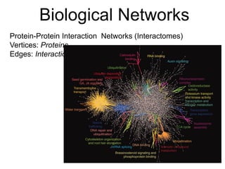 Biological Networks
Protein-Protein Interaction Networks (Interactomes)
Vertices: Proteins
Edges: Interactions
 