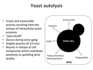 F15 Industrial Mycology | PPTX