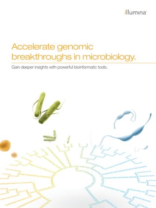 Accelerate genomic
breakthroughs in microbiology.
Gain deeper insights with powerful bioinformatic tools.
 