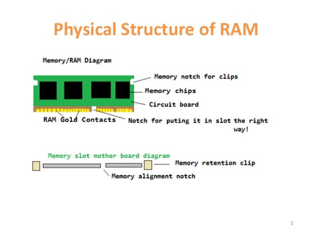 ram