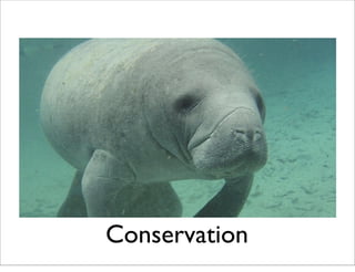 Conservation
 