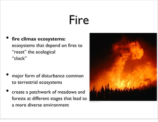 Fire
• fire climax ecosystems:
ecosystems that depend on fires to
“reset” the ecological
“clock”
• major form of disturbance common
to terrestrial ecosystems
• create a patchwork of meadows and
forests at different stages that lead to
a more diverse environment
 