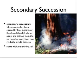 Secondary Succession
• secondary succession:
when an area has been
cleared by fire, humans, or
floods and then left alone,
plants and animals from the
surrounding ecosystem may
gradually invade the area
• starts with pre-existing soil
 