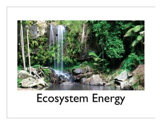 Ecosystem Energy
 
