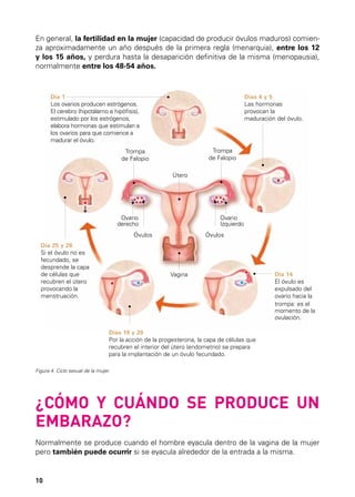 En general, la fertilidad en la mujer (capacidad de producir óvulos maduros) comienza aproximadamente un año después de la primera regla (menarquia), entre los 12
y los 15 años, y perdura hasta la desaparición definitiva de la misma (menopausia),
normalmente entre los 48-54 años.

Día 1
Los ovarios producen estrógenos.
El cerebro (hipotálamo e hipófisis),
estimulado por los estrógenos,
elabora hormonas que estimulan a
los ovarios para que comience a
madurar el óvulo.

Días 4 y 5
Las hormonas
provocan la
maduración del óvulo.

Trompa
de Falopio

Trompa
de Falopio
Útero

Ovario
Izquierdo

Ovario
derecho

Óvulos

Óvulos
Día 25 y 26
Si el óvulo no es
fecundado, se
desprende la capa
de células que
recubren el útero
provocando la
menstruación.

Vagina

Día 14
El óvulo es
expulsado del
ovario hacia la
trompa: es el
momento de la
ovulación.

Días 19 y 20
Por la acción de la progesterona, la capa de células que
recubren el interior del útero (endometrio) se prepara
para la implantación de un óvulo fecundado.
Figura 4. Ciclo sexual de la mujer.

¿CÓMO Y CUÁNDO SE PRODUCE UN
EMBARAZO?
Normalmente se produce cuando el hombre eyacula dentro de la vagina de la mujer
pero también puede ocurrir si se eyacula alrededor de la entrada a la misma.

10

 