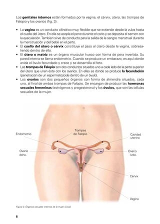 Los genitales internos están formados por la vagina, el cérvix, útero, las trompas de
Falopio y los ovarios (fig. 3).
•	  a vagina es un conducto cilíndrico muy flexible que se extiende desde la vulva hasta
L
el cuello del útero. En ella se acopla el pene durante el coito y se deposita el semen con
la eyaculación. También sirve de conducto para la salida de la sangre menstrual durante
la menstruación y del bebé en el parto.
•	  l cuello del útero o cérvix constituye el paso al útero desde la vagina, sobresaE
liendo dentro de ella.
•	  l útero o matriz es un órgano muscular hueco con forma de pera invertida. Su
E
pared interna se llama endometrio. Cuando se produce un embarazo, es aquí donde
anida el óvulo fecundado y crece y se desarrolla el feto.
•	  as trompas de Falopio son dos conductos situados uno a cada lado de la parte superior
L
del útero que unen éste con los ovarios. En ellas es donde se produce la fecundación
(penetración de un espermatozoide dentro de un óvulo).
•	  os ovarios son dos pequeños órganos con forma de almendra situados, cada
L
uno, al final de ambas trompas de Falopio. Se encargan de producir las hormonas
sexuales femeninas (estrógenos y progesterona) y los óvulos, que son las células
sexuales de la mujer.

Endometrio

Ovario
dcho.

Trompas
de Falopio

Cavidad
uterina

Ovario
Izdo.

Cérvix

Vagina
Figura 3. Órganos sexuales internos de la mujer (vulva)

8

 