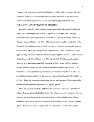 9	
  
Previous work investigating the biological effects of Elkhorn River exposure led to my
hypothesis that effects would only be observed during a pulsatile event, and that the
effects would be more pronounced in fish exposed to complete sediment loads.
THE IMPORTANCE OF EXPOSURE DURATION
As stated previously, endocrine disrupting compounds include pesticides, industrial
wastes, and veterinary pharmaceuticals (Kolpin et al. 2002). One such veterinary
pharmaceutical is trenbolone acetate, a commonly used growth-promoting hormone in
the cattle industry (Ankley et al. 2003). 17-β-trenbolone is one of the metabolites of the
biotransformation of this steroid, which is excreted by cattle and enters aquatic systems
(Schiffer et al. 2001). This is of particular concern in the Central United States, where
approximately half of the land use is dedicated to grazing (Nickerson et al. 2011). Several
studies (Soto et al. 2004; Orlando et al. 2004; Kolok et al. 2007) have confirmed that
sediment from watersheds associated with cattle feedlots contain high levels of this
steroid. Although it is not the most prevalent metabolite of trenbolone acetate, 17-β-
trenbolone is considered relatively stable in the environment (Webster et al. 2012) and
has the highest binding affinity to the androgen receptor (Schiffer et al. 2001; Ankley et
al. 2003). Thus, it is important to understand the fate and transport of this compound in
the environment and its biological effect in aquatic systems.
While Ankley et al. (2003) did determine that exposure to aqueous 17-β-trenbolone
induced defeminization in fathead minnows, little is known about its interaction between
sediment and its influence on defeminization. Given the hydrophobic nature of this
compound, the dynamic equilibrium between the sediment and water column cannot be
ignored. Empirical evidence (Sangter et al. 2014) shows that sediment does indeed
 