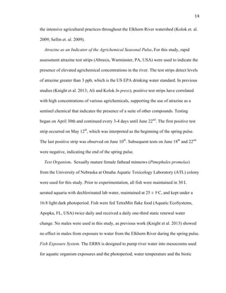 14	
  
the intensive agricultural practices throughout the Elkhorn River watershed (Kolok et. al.
2009; Sellin et. al. 2009).
Atrazine as an Indicator of the Agrichemical Seasonal Pulse. For this study, rapid
assessment atrazine test strips (Abraxis, Warminster, PA, USA) were used to indicate the
presence of elevated agrichemical concentrations in the river. The test strips detect levels
of atrazine greater than 3 ppb, which is the US EPA drinking water standard. In previous
studies (Knight et al. 2013; Ali and Kolok In press), positive test strips have correlated
with high concentrations of various agrichemicals, supporting the use of atrazine as a
sentinel chemical that indicates the presence of a suite of other compounds. Testing
began on April 30th and continued every 3-4 days until June 22nd
. The first positive test
strip occurred on May 12th
, which was interpreted as the beginning of the spring pulse.
The last positive strip was observed on June 10th
. Subsequent tests on June 18th
and 22nd
were negative, indicating the end of the spring pulse.
Test Organism. Sexually mature female fathead minnows (Pimephales promelas)
from the University of Nebraska at Omaha Aquatic Toxicology Laboratory (ATL) colony
were used for this study. Prior to experimentation, all fish were maintained in 30 L
aerated aquaria with dechlorinated lab water, maintained at 25 ± 1ͦ C, and kept under a
16:8 light:dark photoperiod. Fish were fed TetraMin flake food (Aquatic EcoSystems,
Apopka, FL, USA) twice daily and received a daily one-third static renewal water
change. No males were used in this study, as previous work (Knight et al. 2013) showed
no effect in males from exposure to water from the Elkhorn River during the spring pulse.
Fish Exposure System. The ERRS is designed to pump river water into mesocosms used
for aquatic organism exposures and the photoperiod, water temperature and the biotic
 
