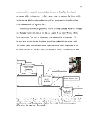 15	
  
environment (i.e., planktonic community) are the same as that of the river. In each
mesocosm, a 10-L stainless steel circular exposure tank was maintained within a 16.5-L
insulation tank. The insulation tanks circulated river water to maintain ambient river
water temperature in the exposure tanks.
Three mesocosms were designed into a cascade system (Figure 1). Water was pumped
into the upper mesocosm, drained into the one beneath it, and finally drained into the
lower mesocosm. Flow rates in the systems were maintained at approximately 500
mL/min. Due to the residence time of the water in the tanks and in accordance with
Stoke’s law, larger particles settled in the upper mesocosm, small silt particles in the
middle mesocosm, and only fine particles were carried into the lower mesocosm. The
Figure 1. A schematic diagram of the fish exposure system (a) raw river water; (b) whole
sediment mesocosm effluent carrying fine fraction and relatively bigger silt particles; (c)
middle mesocosm effluent carrying only fine fraction; (d) fine fraction mesocosm
effluent carrying extremely fine particles.
16.5-L insulation tank
a
a
a
Whole Sediment
Mesocosm
Middle
Mesocosm
Fine Fraction
Mesocosm
a
a
b
c
d
10-L exposure tank
 