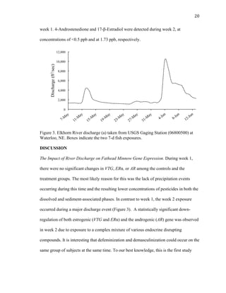 20	
  
week 1. 4-Androstenedione and 17-β-Estradiol were detected during week 2, at
concentrations of <0.5 ppb and at 1.73 ppb, respectively.
Figure 3. Elkhorn River discharge (a) taken from USGS Gaging Station (06800500) at
Waterloo, NE. Boxes indicate the two 7-d fish exposures.
DISCUSSION
The Impact of River Discharge on Fathead Minnow Gene Expression. During week 1,
there were no significant changes in VTG, ERα, or AR among the controls and the
treatment groups. The most likely reason for this was the lack of precipitation events
occurring during this time and the resulting lower concentrations of pesticides in both the
dissolved and sediment-associated phases. In contrast to week 1, the week 2 exposure
occurred during a major discharge event (Figure 3). A statistically significant down-
regulation of both estrogenic (VTG and ERα) and the androgenic (AR) gene was observed
in week 2 due to exposure to a complex mixture of various endocrine disrupting
compounds. It is interesting that defeminization and demasculinization could occur on the
same group of subjects at the same time. To our best knowledge, this is the first study
0
2,000
4,000
6,000
8,000
10,000
12,000Discharge(ft3/sec)
 
