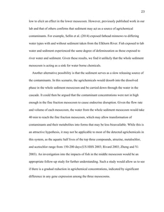 23	
  
low to elicit an effect in the lower mesocosm. However, previously published work in our
lab and that of others confirms that sediment may act as a source of agrichemical
contaminants. For example, Sellin et al. (2014) exposed fathead minnows to differing
water types with and without sediment taken from the Elkhorn River. Fish exposed to lab
water and sediment experienced the same degree of defeminzation as those exposed to
river water and sediment. Given these results, we find it unlikely that the whole sediment
mesocosm is acting as a sink for water borne chemicals.
Another alternative possibility is that the sediment serves as a slow releasing source of
the contaminants. In this scenario, the agrichemicals would desorb into the dissolved
phase in the whole sediment mesocosm and be carried down through the water in the
cascade. It could then be argued that the contaminant concentrations were not in high
enough in the fine fraction mesocosm to cause endocrine disruption. Given the flow rate
and volume of each mesocosm, the water from the whole sediment mesocosm would take
40 min to reach the fine fraction mesocosm, which may allow transformation of
contaminants and their metabolites into forms that may be less bioavailable. While this is
an attractive hypothesis, it may not be applicable to most of the detected agrichemicals in
this system, as the aquatic half lives of the top three compounds, atrazine, metalochlor,
and acetochlor range from 150-200 days (US HHS 2003; Rivard 2003; Zheng and Yi
2003). An investigation into the impacts of fish in the middle mesocosm would be an
appropriate follow-up study for further understanding. Such a study would allow us to see
if there is a gradual reduction in agrichemical concentrations, indicated by significant
difference in any gene expression among the three mesocosms.
 