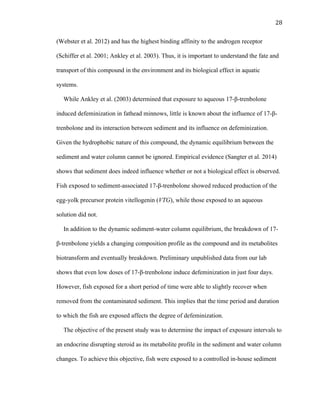 28	
  
(Webster et al. 2012) and has the highest binding affinity to the androgen receptor
(Schiffer et al. 2001; Ankley et al. 2003). Thus, it is important to understand the fate and
transport of this compound in the environment and its biological effect in aquatic
systems.
While Ankley et al. (2003) determined that exposure to aqueous 17-β-trenbolone
induced defeminization in fathead minnows, little is known about the influence of 17-β-
trenbolone and its interaction between sediment and its influence on defeminization.
Given the hydrophobic nature of this compound, the dynamic equilibrium between the
sediment and water column cannot be ignored. Empirical evidence (Sangter et al. 2014)
shows that sediment does indeed influence whether or not a biological effect is observed.
Fish exposed to sediment-associated 17-β-trenbolone showed reduced production of the
egg-yolk precursor protein vitellogenin (VTG), while those exposed to an aqueous
solution did not.
In addition to the dynamic sediment-water column equilibrium, the breakdown of 17-
β-trenbolone yields a changing composition profile as the compound and its metabolites
biotransform and eventually breakdown. Preliminary unpublished data from our lab
shows that even low doses of 17-β-trenbolone induce defeminization in just four days.
However, fish exposed for a short period of time were able to slightly recover when
removed from the contaminated sediment. This implies that the time period and duration
to which the fish are exposed affects the degree of defeminization.
The objective of the present study was to determine the impact of exposure intervals to
an endocrine disrupting steroid as its metabolite profile in the sediment and water column
changes. To achieve this objective, fish were exposed to a controlled in-house sediment
 