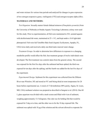 29	
  
and water mixture for various time periods and analyzed for changes in gene expression
of two estrogen-responsive genes, vitellogenin (VTG) and estrogen-receptor alpha (ERα).
MATERIALS AND METHODS:
Test Organism. Sexually mature female fathead minnows (Pimephales promelas) from
the University of Nebraska at Omaha Aquatic Toxicology Laboratory colony were used
for this study. Prior to experimentation, all fish were maintained in 30 L aerated aquaria
with dechlorinated lab water, maintained at 25 ± 1ͦ C, and kept under a 16:8 light:dark
photoperiod. Fish were fed TetraMin flake food (Aquatic EcoSystems, Apopka, FL,
USA) twice daily and received a daily one-third static renewal water change.
Treatment Groups. In order to determine how differences in exposure to a changing
metabolite profile would affect the fish, four treatment groups of twelve individuals were
developed. The first treatment was controls taken from the general colony. The second
was exposed for the first five days after the sediment had been spiked; the third was
exposed for ten days after the spiking; and the fourth was added for the last five days of
the experiment.
Experimental Design. Sediment for this experiment was collected from the Elkhorn
River near Winslow, NE and stored at 4°C until being dried at room temperature for 24
hours before experimental use. A stock of 17-β-trenbolone (98% purity, Sigma, St. Louis,
MO, USA) methanol solution was prepared as described in Sangster et al. (2014). One 60
L glass aquarium was divided with a mesh screen and filled with 4 cm of sediment,
weighing approximately 13.5 kilograms. One side was for holding fish that would be
exposed for 5 days at a time, and the other was to for the 10 day exposed fish. The
sediment was spiked with 10 µg of the solution and the solvent allowed to evaporate for
 