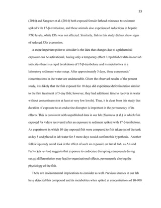 33	
  
(2014) and Sangster et al. (2014) both exposed female fathead minnows to sediment
spiked with 17-β-trenbolone, and these animals also experienced reductions in hepatic
VTG levels, while ERα was not affected. Similarly, fish in this study did not show signs
of reduced ERα expression.
A more important point to consider is the idea that changes due to agrichemical
exposure can be activational, having only a temporary effect. Unpublished data in our lab
indicates there is a rapid breakdown of 17-β-trenbolone and its metabolites in a
laboratory sediment-water setup. After approximately 5 days, these compounds’
concentrations in the water are undetectable. Given the observed results of the present
study, it is likely that the fish exposed for 10 days did experience defeminization similar
to the first treatment of 5-day fish; however, they had additional time to recover in water
without contaminants (or at least at very low levels). Thus, it is clear from this study that
duration of exposure to an endocrine disruptor is important in the permanency of its
effects. This is consistent with unpublished data in our lab (Skolness et al.) in which fish
exposed for 4 days recovered after an exposure to sediment spiked with 17-β-trenbolone.
An experiment in which 10-day exposed fish were compared to fish taken out of the tank
at day 5 and placed in lab water for 5 more days would confirm this hypothesis. Another
follow up study could look at the effect of such an exposure on larval fish, as Ali and
Farhat (In review) suggests that exposure to endocrine disrupting compounds during
sexual differentiation may lead to organizational effects, permanently altering the
physiology of the fish.
There are environmental implications to consider as well. Previous studies in our lab
have detected this compound and its metabolites when spiked at concentrations of 10-900
 