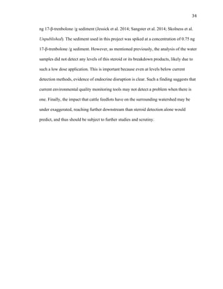 34	
  
ng 17-β-trenbolone /g sediment (Jessick et al. 2014; Sangster et al. 2014; Skolness et al.
Unpublished). The sediment used in this project was spiked at a concentration of 0.75 ng
17-β-trenbolone /g sediment. However, as mentioned previously, the analysis of the water
samples did not detect any levels of this steroid or its breakdown products, likely due to
such a low dose application. This is important because even at levels below current
detection methods, evidence of endocrine disruption is clear. Such a finding suggests that
current environmental quality monitoring tools may not detect a problem when there is
one. Finally, the impact that cattle feedlots have on the surrounding watershed may be
under exaggerated, reaching further downstream than steroid detection alone would
predict, and thus should be subject to further studies and scrutiny.
 