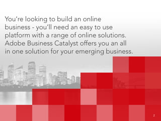 You’re looking to build an online
business - you’ll need an easy to use
platform with a range of online solutions.
Adobe Business Catalyst offers you an all
in one solution for your emerging business.
								 2
 