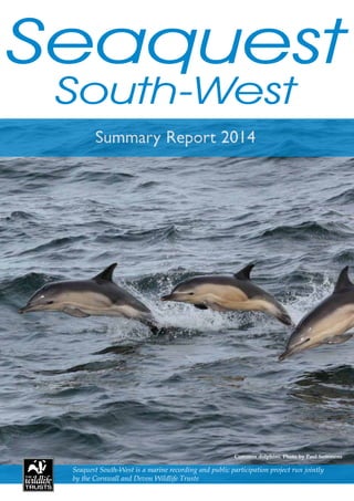 Summary Report 2014
Seaquest South-West is a marine recording and public participation project run jointly
by the Cornwall and Devon Wildlife Trusts
Common dolphins. Photo by Paul Semmens
 