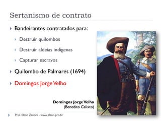 Sertanismo de contrato
 Bandeirantes contratados para:
 Destruir quilombos
 Destruir aldeias indígenas
 Capturar escravos
 Quilombo de Palmares (1694)
 Domingos JorgeVelho
Domingos JorgeVelho
(Benedito Calixto)
Prof. Elton Zanoni - www.elton.pro.br
 