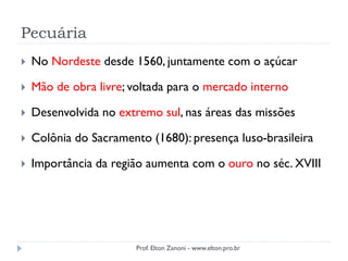 Pecuária
 No Nordeste desde 1560, juntamente com o açúcar
 Mão de obra livre; voltada para o mercado interno
 Desenvolvida no extremo sul, nas áreas das missões
 Colônia do Sacramento (1680): presença luso-brasileira
 Importância da região aumenta com o ouro no séc. XVIII
Prof. Elton Zanoni - www.elton.pro.br
 