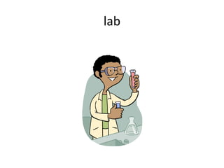 lab