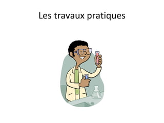 Les travaux pratiques